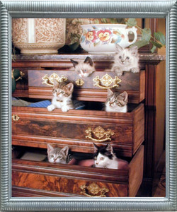Impact Posters Gallery Funny Cat Kittens in Drawers Cute Animal Silver Art Print Framed Wall Decoration Picture (20x24) Impact Posters Gallery Funny Cat Kittens in Drawers Cute Animal Silver Art Print Framed Wall Decoration Picture (20x24)