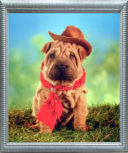 Impact Posters Gallery Funny Chinese Shar Pei Cute Puppy Cowboy Kids Room Silver Framed Wall Decoration Picture Art Print Impact Posters Gallery Funny Chinese Shar Pei Cute Puppy Cowboy Kids Room Silver Framed Wall Decoration Picture Art Print