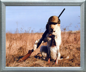 Framed Wall Decor Funny Labrador Dog Gone Hunting Silver Art Print Framed Wall Decor Funny Labrador Dog Gone Hunting Silver Art Print