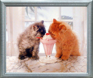 Impact Posters Gallery Cute Cat La Perm and Ice Cream Friendship Silver Framed Wall Decoration Picture Art Print (20x24) Impact Posters Gallery Cute Cat La Perm and Ice Cream Friendship Silver Framed Wall Decoration Picture Art Print (20x24)