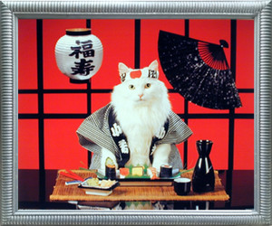 Framed Wall Decoration Sushi Cat (Japanese) Cute Kitten Silver Framed Picture Art Print Framed Wall Decoration Sushi Cat (Japanese) Cute Kitten Silver Framed Picture Art Print