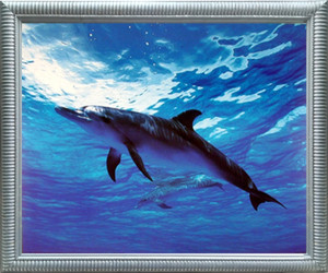 Impact Posters Gallery Bottlenose Dolphin Underwater Ocean Sealife Animal Wall Decor Silver Framed Art Print Picture (18x22) Impact Posters Gallery Bottlenose Dolphin Underwater Ocean Sealife Animal Wall Decor Silver Framed Art Print Picture (18x22)