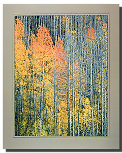 Aspen Posters Aspen Posters