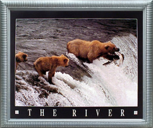 Grizzly Bears in the River Wildlife Wall Decor Silver Framed Art Print Animal Picture Grizzly Bears in the River Wildlife Wall Decor Silver Framed Art Print Animal Picture