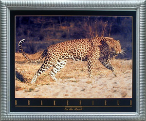 Impact Posters Gallery Snarling Leopard Cat Feline Wildlife Animal Wall Decor Silver Framed Picture Art Print Impact Posters Gallery Snarling Leopard Cat Feline Wildlife Animal Wall Decor Silver Framed Picture Art Print