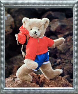 Impact Posters Gallery Teddy Bear Backpacker Kids Room Wall Decor Silver Framed Picture Art Print Impact Posters Gallery Teddy Bear Backpacker Kids Room Wall Decor Silver Framed Picture Art Print