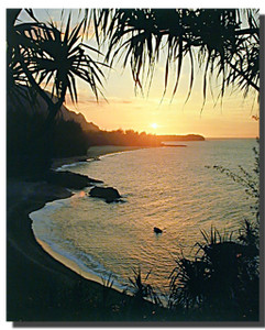 Tropical Sunset Posters Tropical Sunset Posters