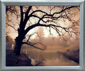 Impact Posters Gallery Golden Sunset Pond and Tree Landscape Wall Decor Silver Framed Picture Art Print Impact Posters Gallery Golden Sunset Pond and Tree Landscape Wall Decor Silver Framed Picture Art Print