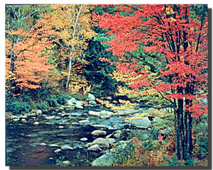 Water Rocks Posters Water Rocks Posters