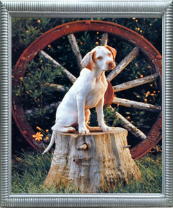 Impact Posters Gallery Framed Wall Decor English Pointer Puppy Dog Wildlife Animal Silver Art Print Picture Impact Posters Gallery Framed Wall Decor English Pointer Puppy Dog Wildlife Animal Silver Art Print Picture