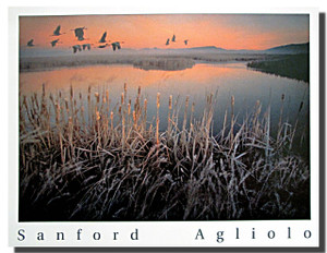 Geese Over Marsh Poster