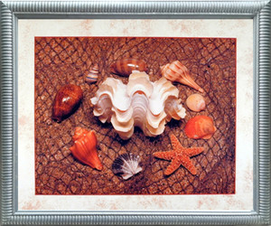Impact Posters Gallery Starfish with Seashell Ocean Wall Bathroom Decor Silver Framed Picture Art Print Impact Posters Gallery Starfish with Seashell Ocean Wall Bathroom Decor Silver Framed Picture Art Print