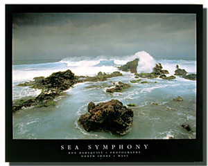 Sea Symphony Posters Sea Symphony Posters