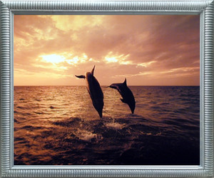 Impact Posters Gallery Dolphins Jumping in Ocean at Sunset Underwater Animal Picture Wall Decor Silver Framed Art Print Picture Impact Posters Gallery Dolphins Jumping in Ocean at Sunset Underwater Animal Picture Wall Decor Silver Framed Art Print Picture