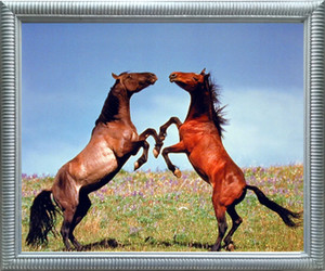 Impact Posters Gallery Stallion Horses Rearing Animal Silver Art Print Framed Wall Decor Picture (20x24) Impact Posters Gallery Stallion Horses Rearing Animal Silver Art Print Framed Wall Decor Picture (20x24)