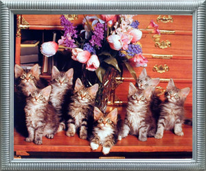 Impact Posters Gallery Cute Cats Sitting on Desk Silver Picture Art Print Framed Wall Decor Impact Posters Gallery Cute Cats Sitting on Desk Silver Picture Art Print Framed Wall Decor