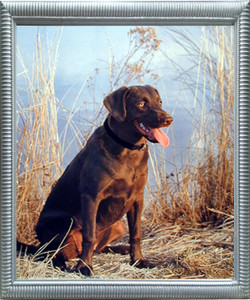 Framed Wall Decor Picture Chocolate Labrador Dog Cute Pet Animal Silver Art Print Framed Wall Decor Picture Chocolate Labrador Dog Cute Pet Animal Silver Art Print