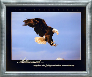 Impact Posters Gallery Bald Eagle Diving Landing Achievement Wild Bird Animal Wall Decor Silver Framed Art Print Picture Impact Posters Gallery Bald Eagle Diving Landing Achievement Wild Bird Animal Wall Decor Silver Framed Art Print Picture