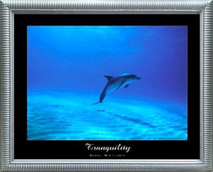 Framed Wall Decoration Tranquility Dolphin Underwater Ocean Animal Silver Framed Art Print Picture (19x23)