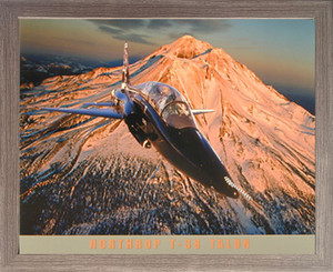 Military Northrop T-38 Talon Aviation Aircraft Wall Decor Barnwood Framed Picture Art Print (19x23) Military Northrop T-38 Talon Aviation Aircraft Wall Decor Barnwood Framed Picture Art Print (19x23)