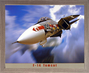 Framed Wall Decor Aviation Aircraft Poster - F-14 Tomcat Jet Military Jet Barnwood Picture Art Print (19x23) Framed Wall Decor Aviation Aircraft Poster - F-14 Tomcat Jet Military Jet Barnwood Picture Art Print (19x23)