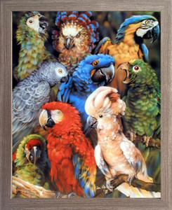 Impact Posters Gallery Collage Tropical Parrots Birds Animal Barnwood Picture Art Print Framed Wall Decoration (19x23) Impact Posters Gallery Collage Tropical Parrots Birds Animal Barnwood Picture Art Print Framed Wall Decoration (19x23)
