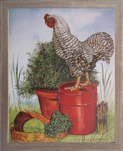 Chicken Rooster Framed Art Print Wall Decor Barred Plymouth Rock Barnwood Picture (19x23) Chicken Rooster Framed Art Print Wall Decor Barred Plymouth Rock Barnwood Picture (19x23)