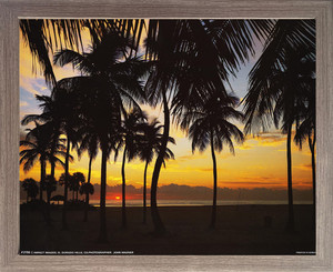 Tropical Sunset & Framed Wall Decor Palm Tree Landscape Scenery Barnwood Framed Picture Art Print (19x23) Tropical Sunset & Framed Wall Decor Palm Tree Landscape Scenery Barnwood Framed Picture Art Print (19x23)