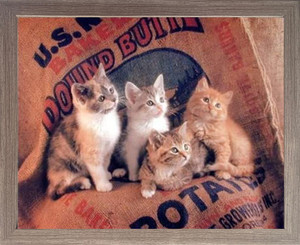 Framed Wall Decor Gunnie Sack Cute Kittens Funny Cat Kids Room Animal Barnwood Framed Picture Art Print (19x23)