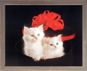 Impact Posters Gallery Cute Cats Persian Kittens with Red Bow Animal Barnwood Picture Framed Wall Decor Art Print (19x23)