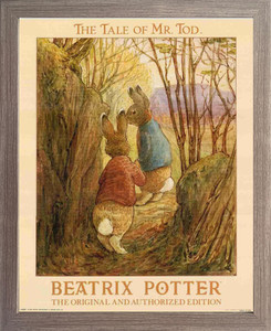 Beatrix Potter Bunny Rabbit Childrens Kids Room Original and Authorized  Edition Wall Decor Espresso Framed Picture Art Print (20x24) - Impact  Posters Gallery