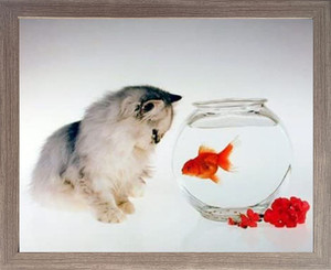 Impact Posters Gallery Cute Cat and Goldfish Funny Kitten Kids Room Barnwood Framed Wall Decor Picture Art Print (19x23) Impact Posters Gallery Cute Cat and Goldfish Funny Kitten Kids Room Barnwood Framed Wall Decor Picture Art Print (19x23)