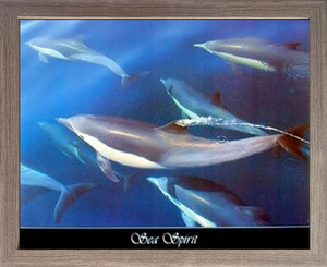 Framed Wall Decor Dolphin Sea Spirit Underwater Animal Home Barnwood Picture Art Print (19x23) Framed Wall Decor Dolphin Sea Spirit Underwater Animal Home Barnwood Picture Art Print (19x23)