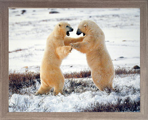 Polar Bears Fighting in Snow Barnwood Wildlife Animal Framed Art Print Picture Wall Decor (19x23) Polar Bears Fighting in Snow Barnwood Wildlife Animal Framed Art Print Picture Wall Decor (19x23)