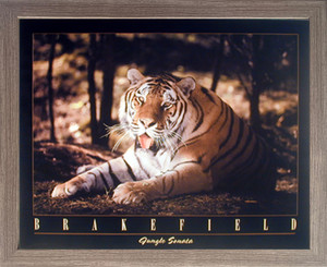 Impact Posters Gallery Wild Sonata Tiger Wildlife Animal Wall Decor Barnwood Framed Pictures Art Print (19x23) Impact Posters Gallery Wild Sonata Tiger Wildlife Animal Wall Decor Barnwood Framed Pictures Art Print (19x23)