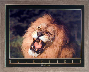 Framed Wall Decoration Picture African Lion King Roar Close-up Wild Animal Barnwood Art Print (19x23) Framed Wall Decoration Picture African Lion King Roar Close-up Wild Animal Barnwood Art Print (19x23)