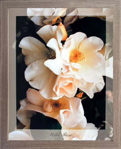 Impact Posters Gallery Wild Rose Flowers Floral Barnwood Picture Art Print Framed Wall Decoration (19x23) Impact Posters Gallery Wild Rose Flowers Floral Barnwood Picture Art Print Framed Wall Decoration (19x23)