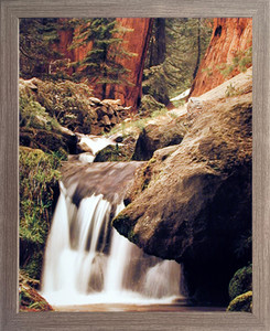 Impact Posters Gallery Waterfall Forest Stream Scenery Framed Wall Bedroom Decor Redwood Art Print Poster (16x20) (Barnwood) Impact Posters Gallery Waterfall Forest Stream Scenery Framed Wall Bedroom Decor Redwood Art Print Poster (16x20) (Barnwood)