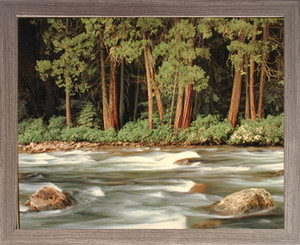 Impact Posters Gallery Framed Wall Decoration Forest River Running Scenery Nature Barnwood Picture Art Print (19x23)