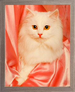 Impact Posters Gallery Framed Wall Decor Picture White Cute Cat in Pink Satin Kitten Animal Barnwood Art Print (19x23) Impact Posters Gallery Framed Wall Decor Picture White Cute Cat in Pink Satin Kitten Animal Barnwood Art Print (19x23)
