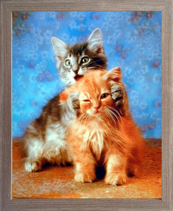 Impact Posters Gallery Cute Cat Hear No Evil R Stacks Kittens Barnwood Art Print Framed Wall Decoration Picture (19x23) Impact Posters Gallery Cute Cat Hear No Evil R Stacks Kittens Barnwood Art Print Framed Wall Decoration Picture (19x23)