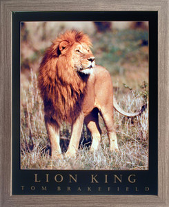 Framed Wall Decoration African Jungle Lion King Big Cat Animal Wildlife Barnwood Framed Picture Art Print (19x23) Framed Wall Decoration African Jungle Lion King Big Cat Animal Wildlife Barnwood Framed Picture Art Print (19x23)