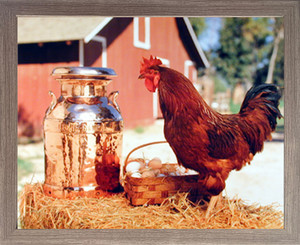 Framed Wall Picture Decor Country Chicken Rooster Milk Can and Egg Basket Barnwood Art Print (19x23)