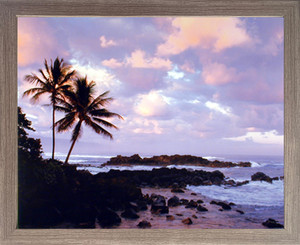 Framed Wall Decor Tropical Sunset Ocean Palm Tree Landscape Scenery Nature Barnwood Picture Art Print (19x23) Framed Wall Decor Tropical Sunset Ocean Palm Tree Landscape Scenery Nature Barnwood Picture Art Print (19x23)