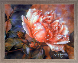 Impact Posters Gallery Wild Rose Dew Flower Fine Barnwood Picture Framed Wall Decor Art Print (19x23) Impact Posters Gallery Wild Rose Dew Flower Fine Barnwood Picture Framed Wall Decor Art Print (19x23)