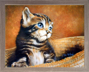 Impact Posters Gallery Cute Cat with Blue Eyes Kids Room Animal Barnwood Picture Art Print Framed Wall Decoration (19x23) Impact Posters Gallery Cute Cat with Blue Eyes Kids Room Animal Barnwood Picture Art Print Framed Wall Decoration (19x23)
