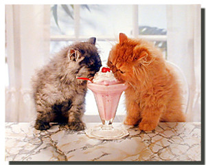 Kittens and Ice Cream Poster
