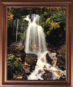 Impact Posters Gallery Tropical Forest Framed Wall Decoration Waterfall and Stream in The Scenery Mahogany Picture Art Print (18x22) Impact Posters Gallery Tropical Forest Framed Wall Decoration Waterfall and Stream in The Scenery Mahogany Picture Art Print (18x22)