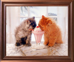 Impact Posters Gallery Cute Cat La Perm and Ice Cream Friendship Mahogany Framed Wall Decoration Picture Art Print (18x22) Impact Posters Gallery Cute Cat La Perm and Ice Cream Friendship Mahogany Framed Wall Decoration Picture Art Print (18x22)