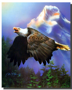 Bald Eagle Picture Posters Bald Eagle Picture Posters